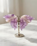 Amethyst Schmetterling