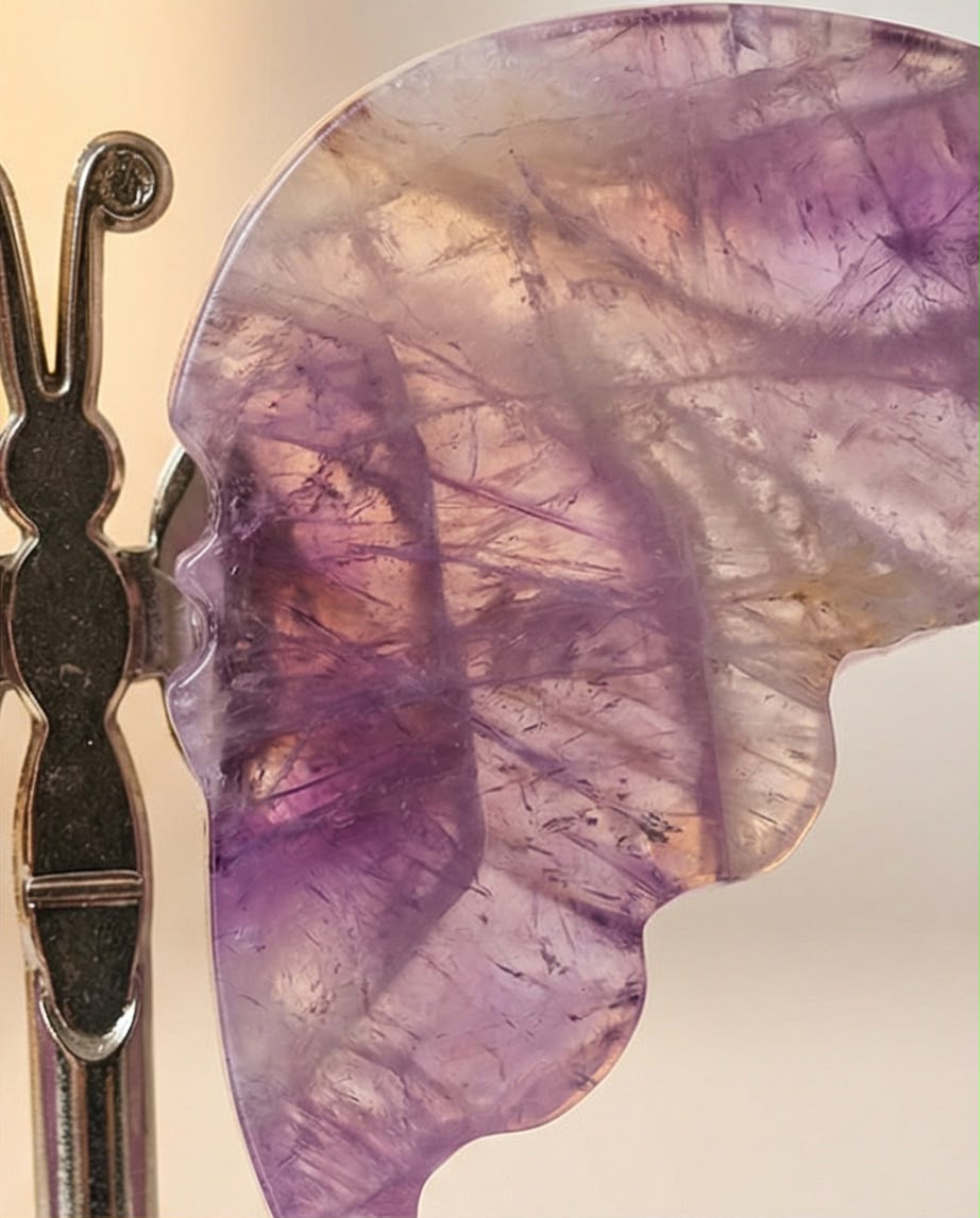 Amethyst Schmetterling