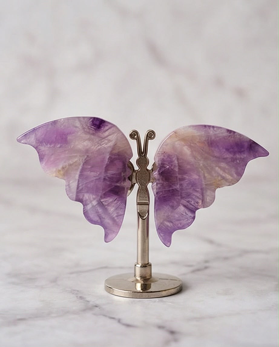 Amethyst Schmetterling